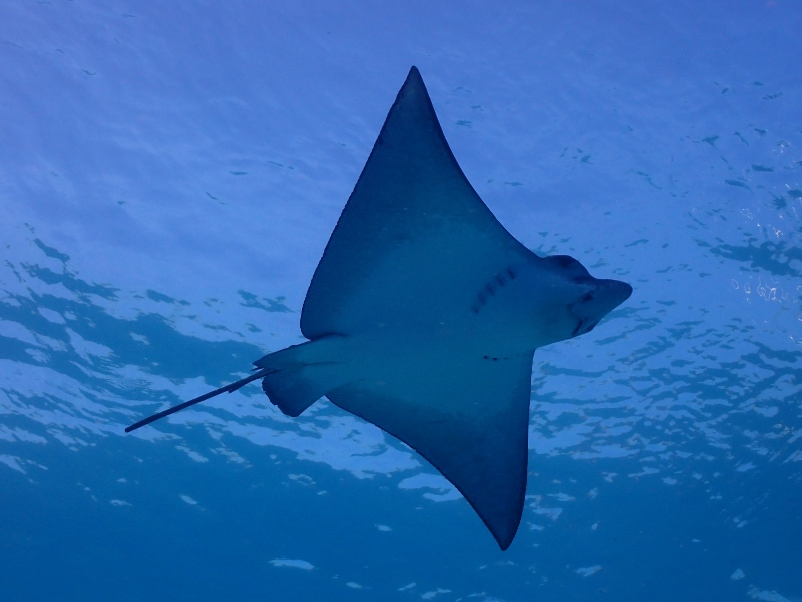 Illustration de développement personnel